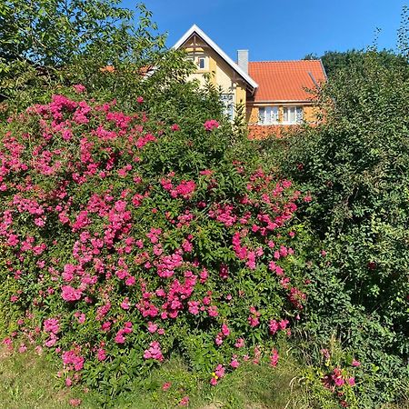 Neulandhof Spoering Apartman Walsrode Kültér fotó