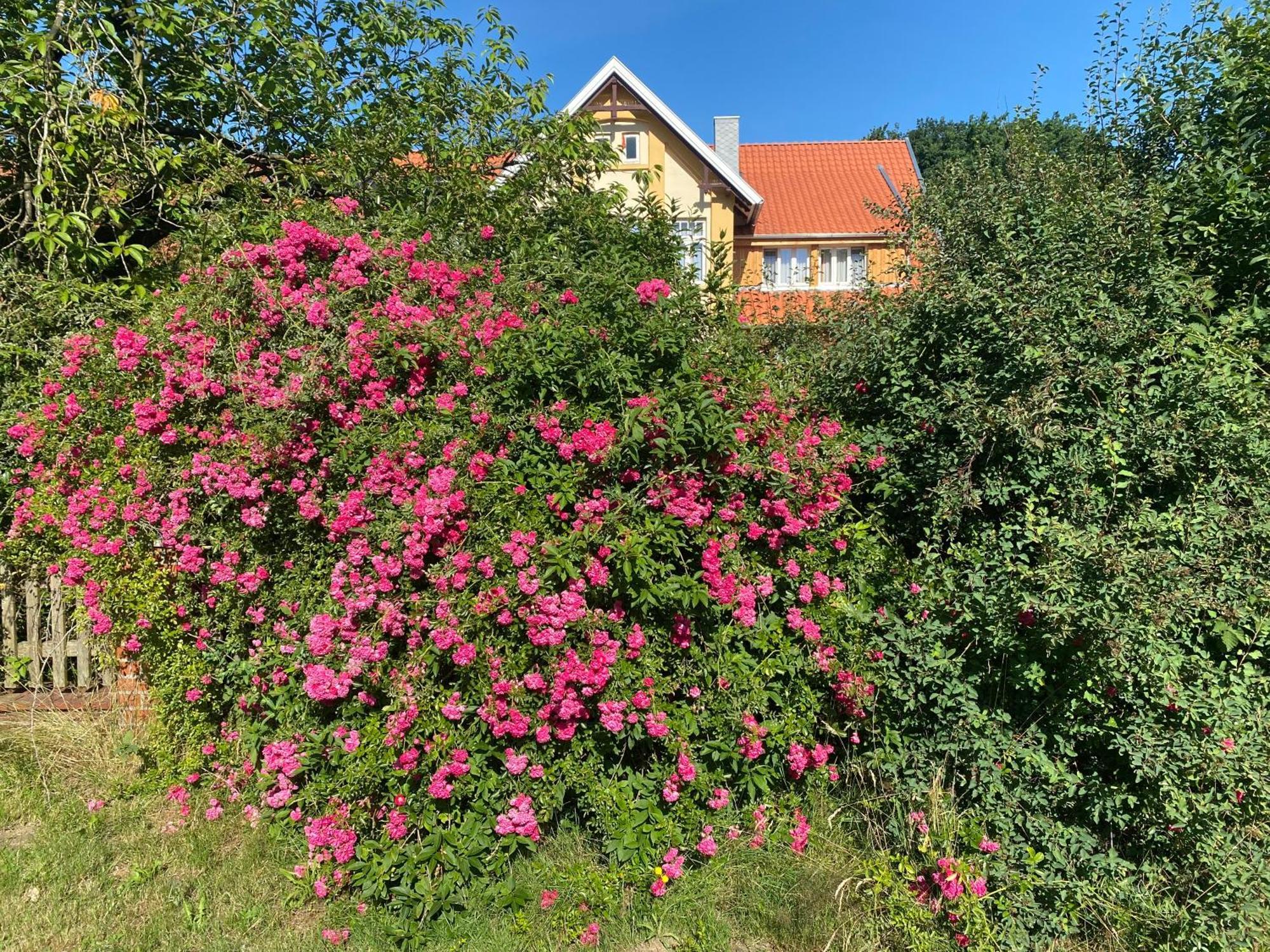 Neulandhof Spoering Apartman Walsrode Kültér fotó